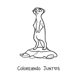 Imagen para colorear de una suricata del desierto
