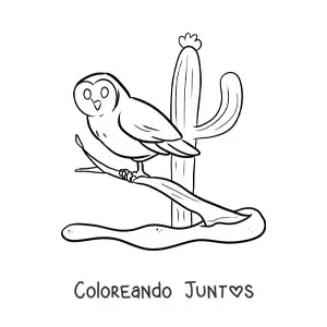Imagen para colorear de una lechuza del desierto