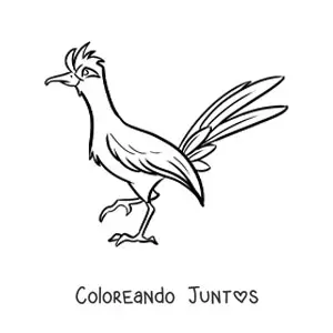 Imagen para colorear de un ave correcaminos