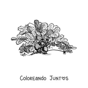 Imagen para colorear de un arbusto de fresas salvajes