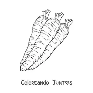 Imagen para colorear de tres zanahorias realistas