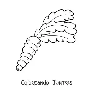 Imagen para colorear de una zanahoria con hojas frondosas