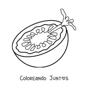 Imagen para colorear de medio tomate