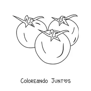 Imagen para colorear de tres tomates pequeños con hojas