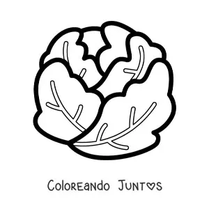 Imagen para colorear de una lechuga arrepollada sencilla