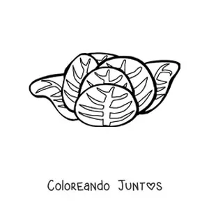 Imagen para colorear de una lechuga