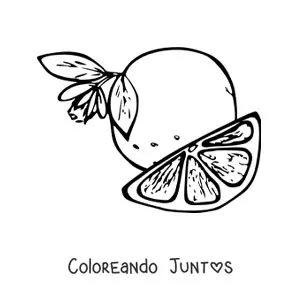 Imagen para colorear de un trozo de naranja  junto a una naranja con flor