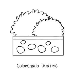 Imagen para colorear de un arbusto en una maceta