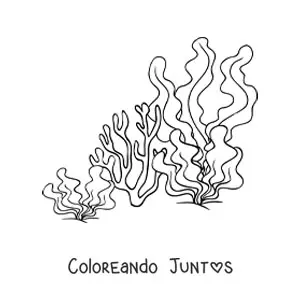 Imagen para colorear de unas algas y un coral