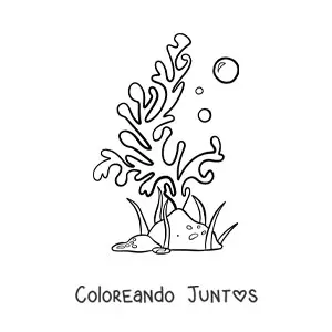 Imagen para colorear de un alga de mar con dos burbujas junto a una roca