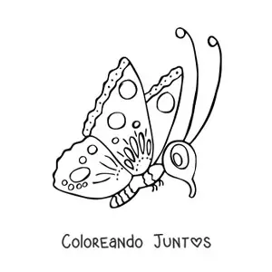 Imagen para colorear de una mariposa animada de perfil