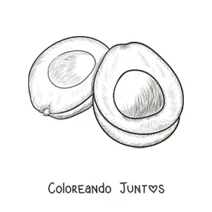 Imagen para colorear de un aguacate dibujado con estilo realista