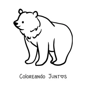 Imagen para colorear de un oso en cuatro patas