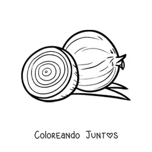 Imagen para colorear de una cebolla y la mitad de otra