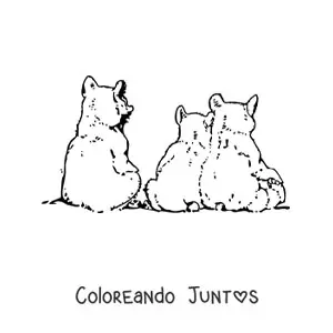 Imagen para colorear de una familia de osos bebés sentados de espalda