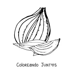 Imagen para colorear de trozos de cebolla