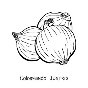 Imagen para colorear de 3 cebollas