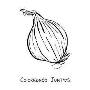 Imagen para colorear de una cebolla grande