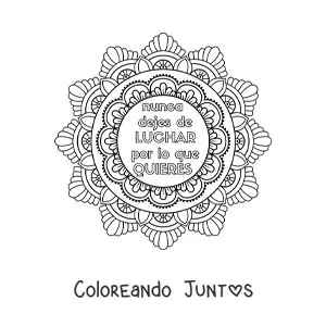 Imagen para colorear de un mandala con la frase nunca dejes de luchar por lo que quieres
