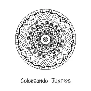 Imagen para colorear de mandala para adultos mayores