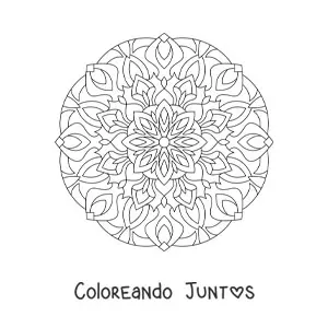 Imagen para colorear de mandala para adultos mayores