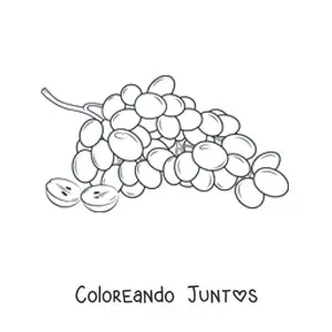 Imagen para colorear de un racimo de uvas con una uva cortada
