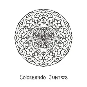 Imagen para colorear de mandala circular para adultos