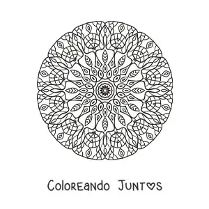 Imagen para colorear de mandala circular para adultos
