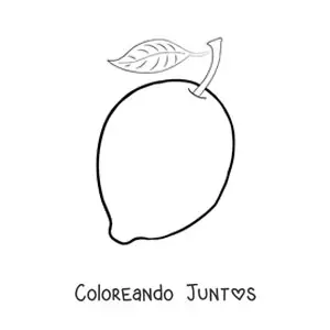 Imagen para colorear de un limón entero con hoja