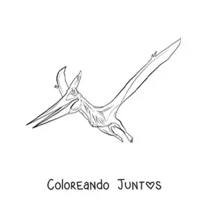 Imagen para colorear de pterodáctilo realista