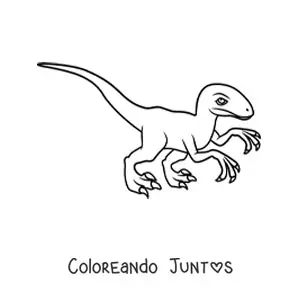Imagen para colorear de velociraptor fácil