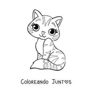 Imagen para colorear de gato animado