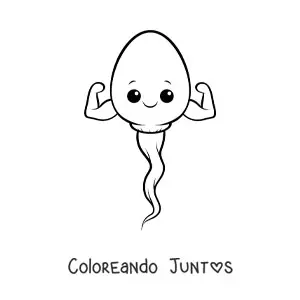 Imagen para colorear de espermatozoide kawaii
