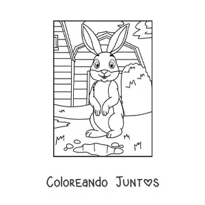 Imagen para colorear de conejo animado en la granja