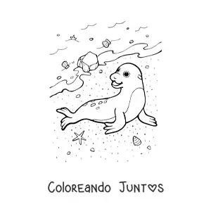 Imagen para colorear de foca en orilla de playa