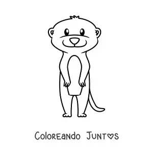 Imagen para colorear de suricata del desierto animada