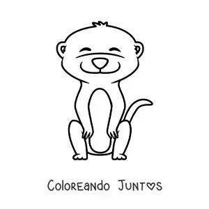 Imagen para colorear de suricata animada