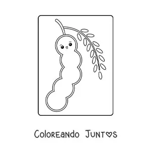 Imagen para colorear de vaina de chícharos kawaii animada