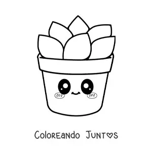 Imagen para colorear de suculenta kawaii grande en una maceta