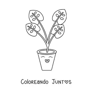 Imagen para colorear de planta con hojas grandes en una maceta kawaii animada