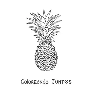 Imagen para colorear de una piña