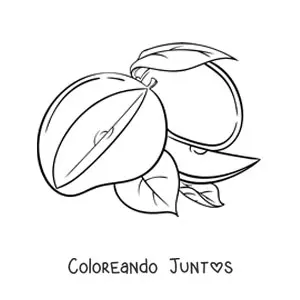 Imagen para colorear de un mango rebanado