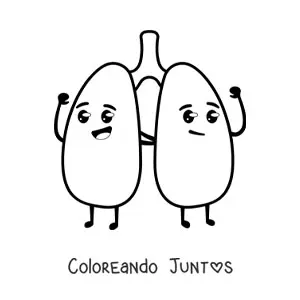 Imagen para colorear de pulmones kawaii animados saludables