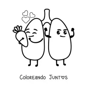Imagen para colorear de pulmones sanos animados