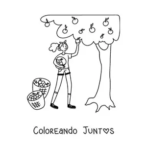 Imagen para colorear de chica recolectando manzanas de un árbol