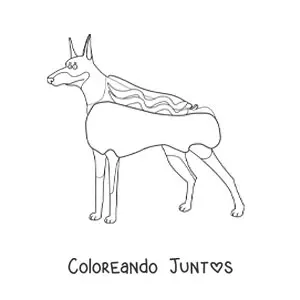 Imagen para colorear de un doberman disfrazado de salchicha