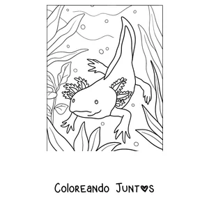 Imagen para colorear de un ajolote adulto nadando entre algas altas