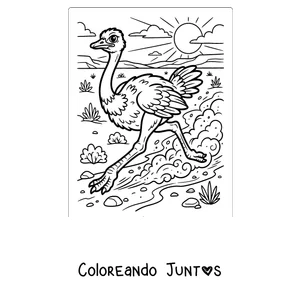 Imagen para colorear de una avestruz corriendo por el desierto
