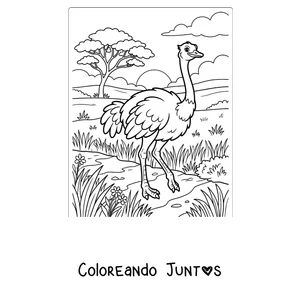 Imagen para colorear de una avestruz en la sabana africana