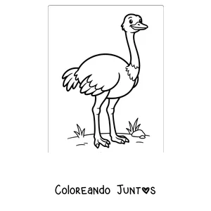 Imagen para colorear de una avestruz sencilla para los más chicos